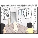 南米のホステルにいた遠慮がちな犬の話